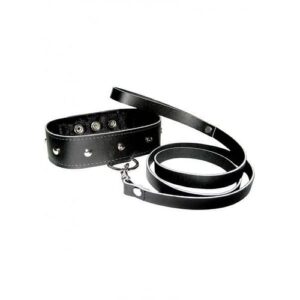 Leather Leash And Collar Black