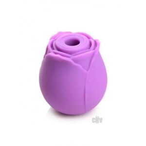 Gossip Rose Flirt Purple