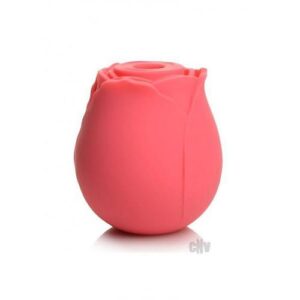 Gossip Rose Crave Pink