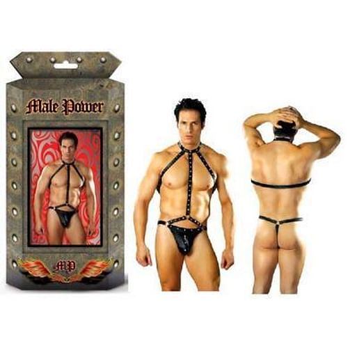 Gladiator - S/M - Image 3