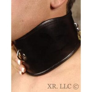 Padded Leather Locking Posture Collar