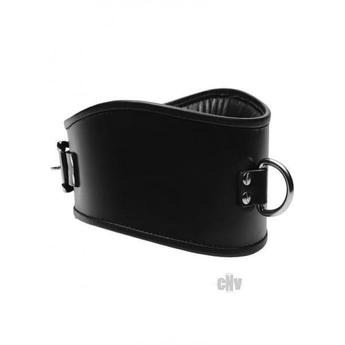 Padded Leather Locking Posture Collar - Image 2