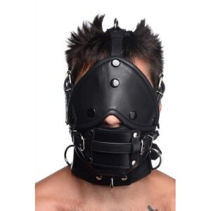 Leather Head Harness With Removeable Gag