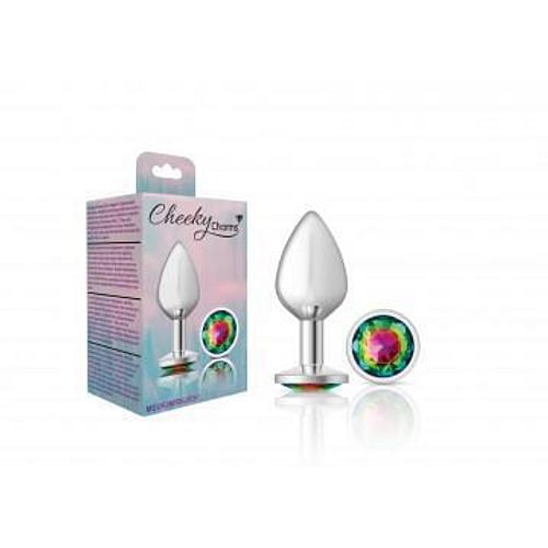 Cheeky Charms Round Rainbow Medium Silver Plug - Image 3