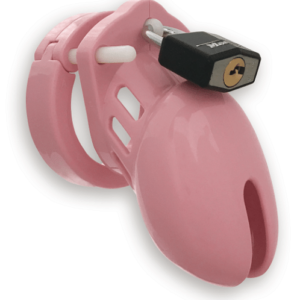 CB6000S Male Chastity Device Pink Small