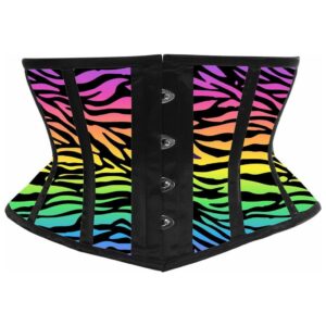Lavish Rainbow Animal Print Satin Mini Cincher Corset